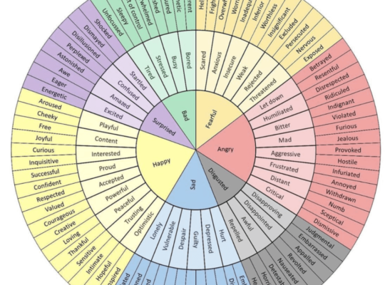 Emotions Wheel