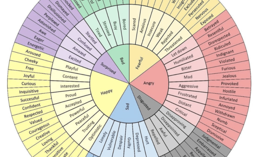 Emotions Wheel