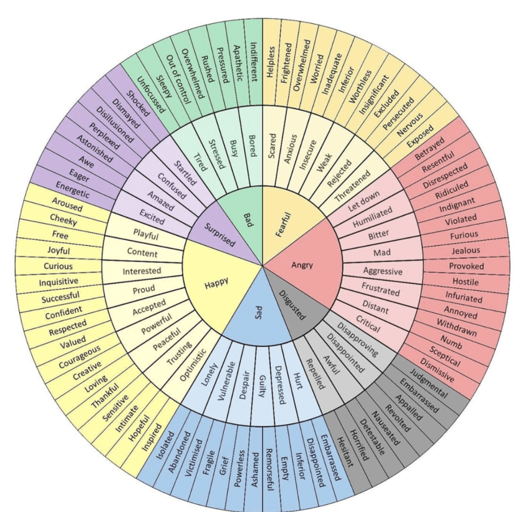 Emotions Wheel